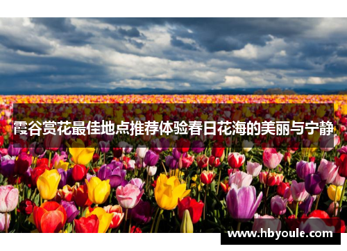 霞谷赏花最佳地点推荐体验春日花海的美丽与宁静